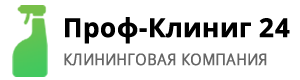 Продвижение сайтов в Ногинске